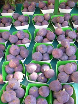 Figs at the market