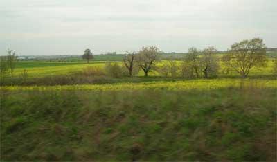 Czech countryside from the train