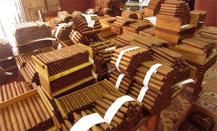 H. Upmann Cigar Factory 