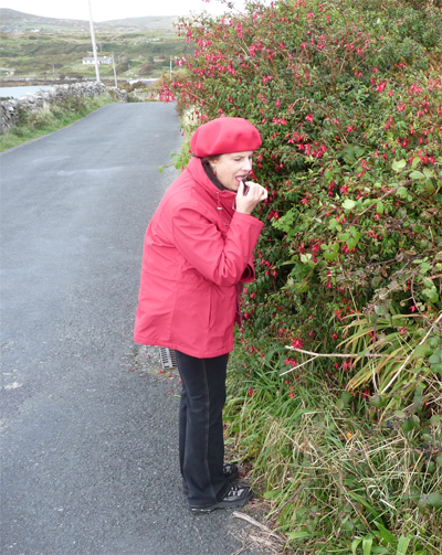 Carol tasting berries along the Sky Road