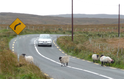 Typical scenery in the Connemara
