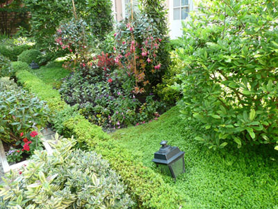 The wonderful lush gardens at Hotel des Grande Ecoles