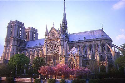 The majesetic and grand Notre Dame